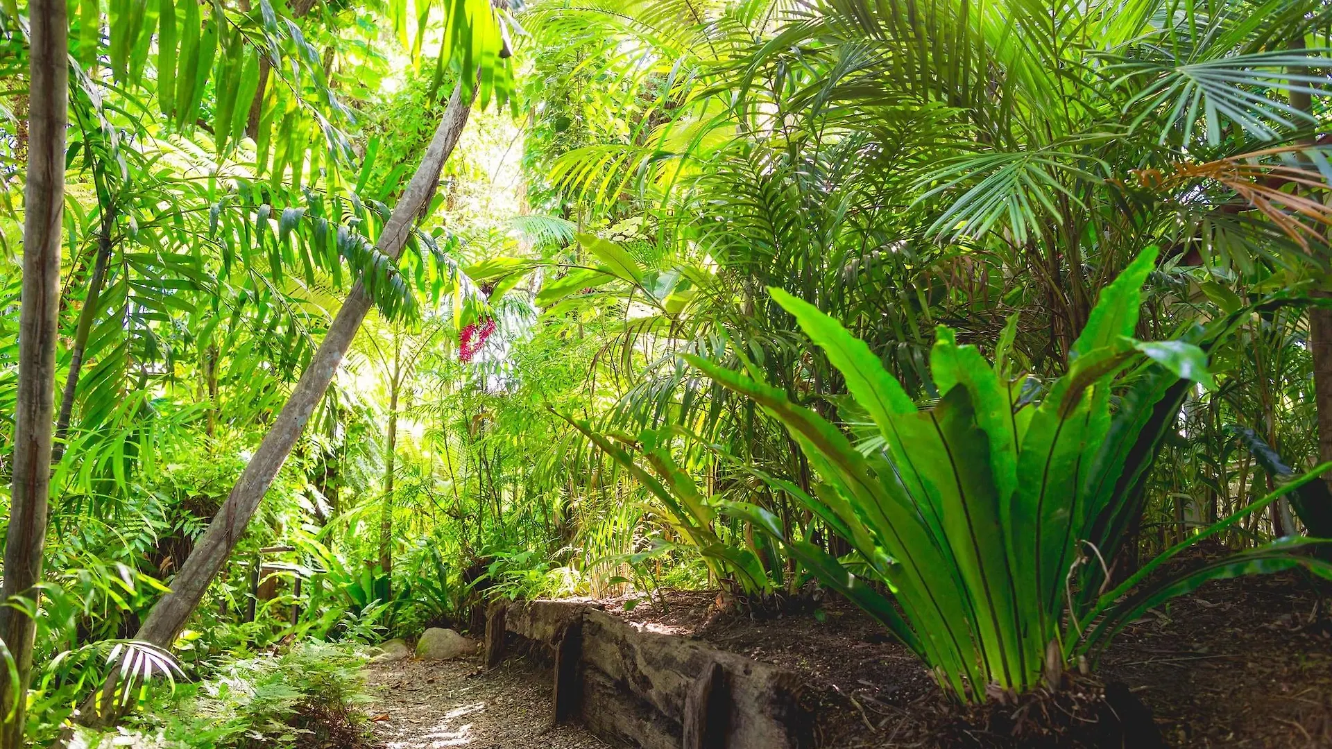 Cairns Colonial Club Resort